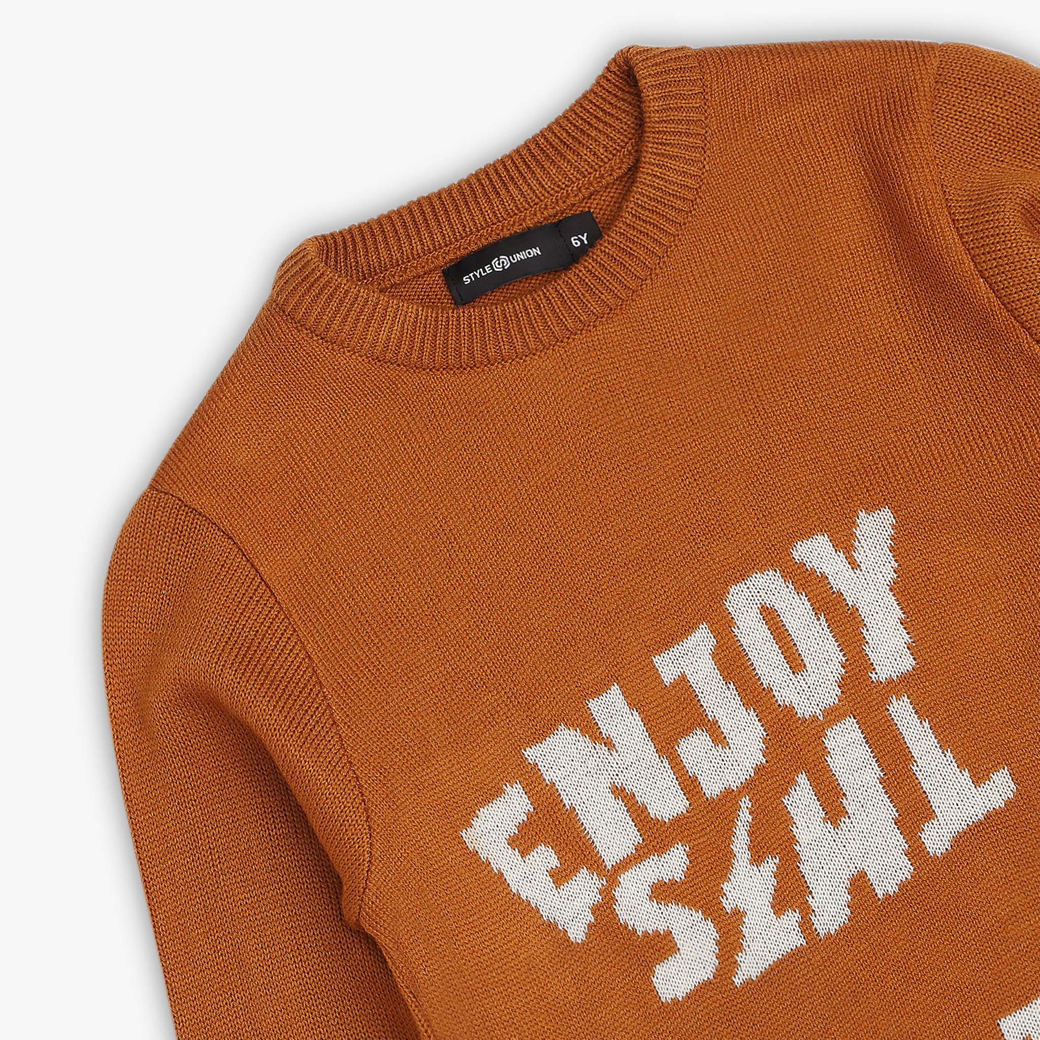Boys Structured Crew Neck Sweater - Image 3