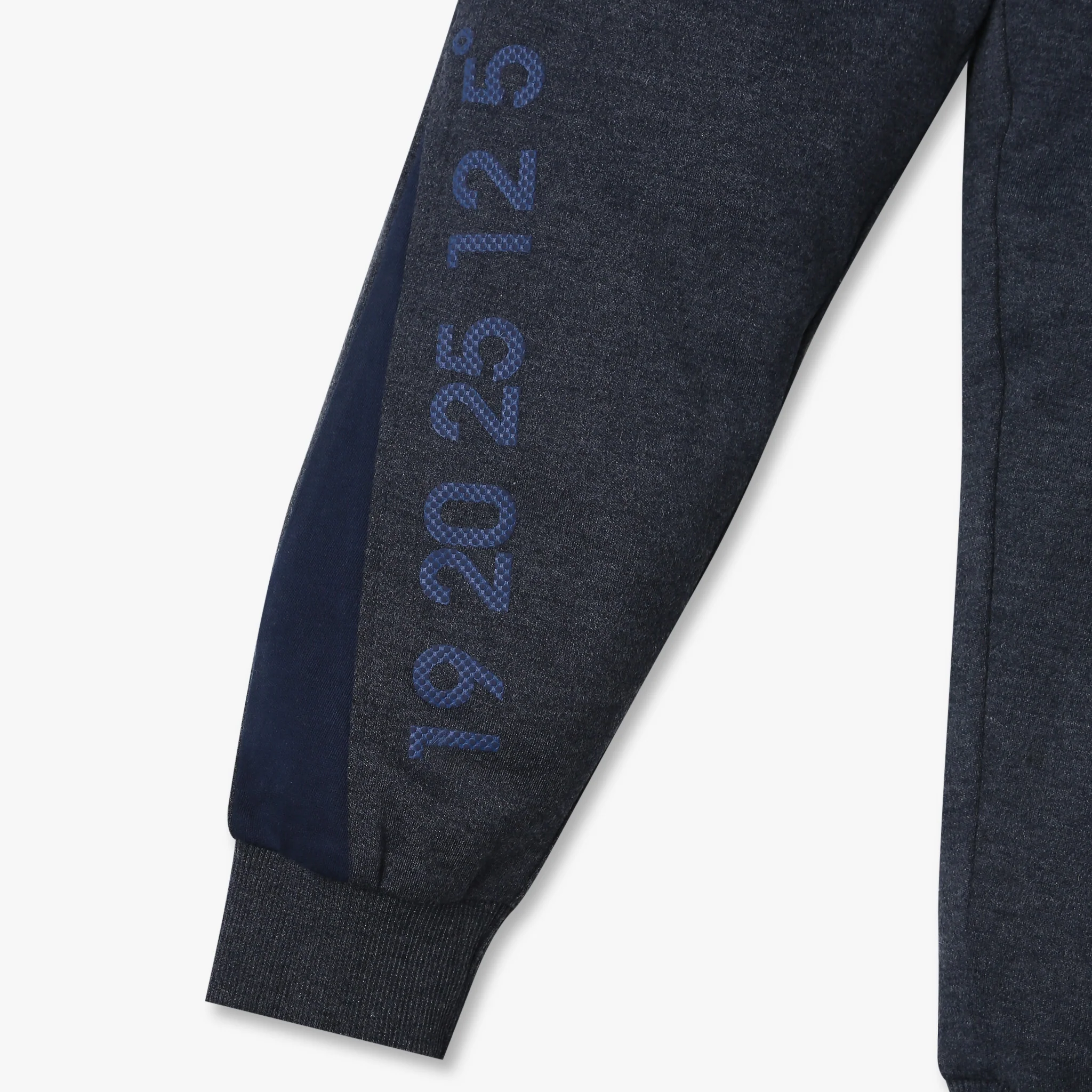 Boys Regular Fit Full Length Cut And Sew Joggers - Image 4