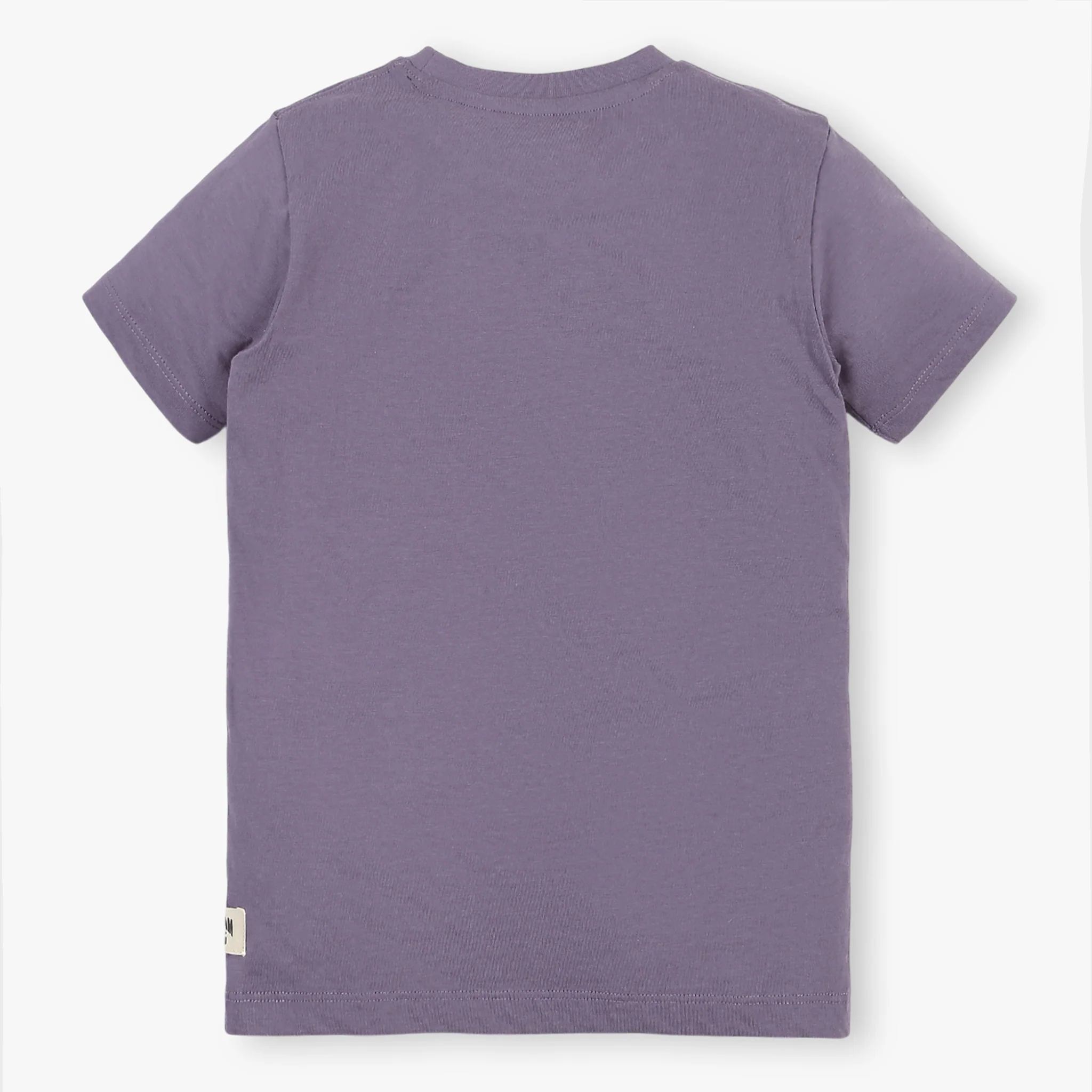 Boys Cotton Crew Neck T-Shirt - Image 20